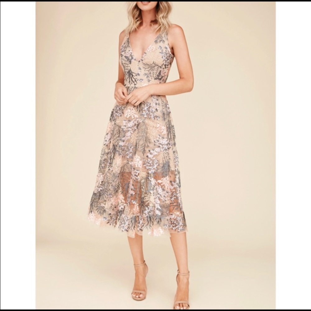 NWOT Dress The Population Mesh Illusion Dress